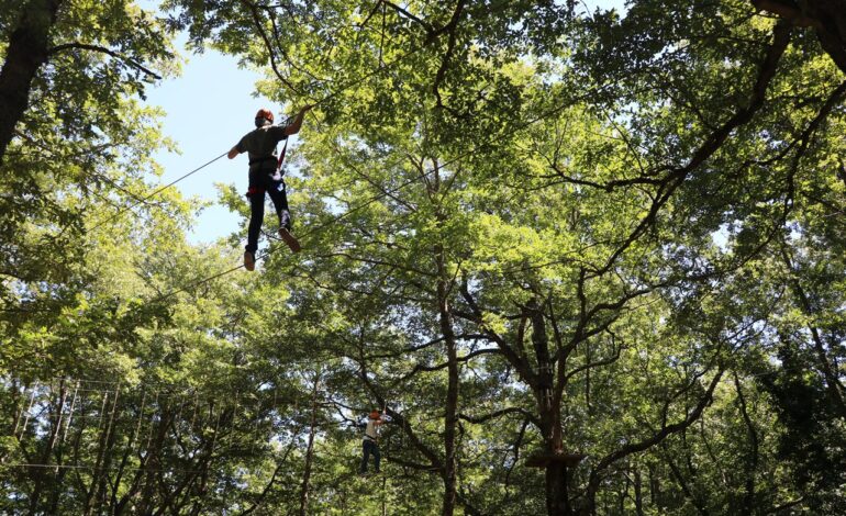  The Apulian forest adventure park