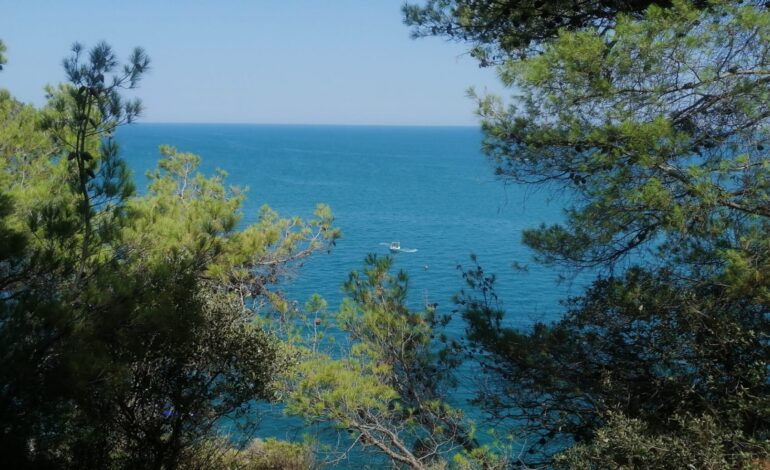  BAIE DE VIGNANOTICA, ENTRE LA NATURE ET LES FALAISES