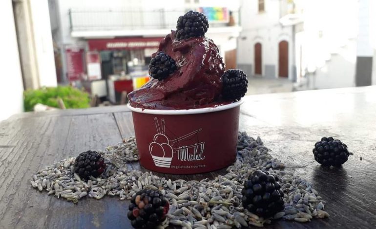  Il gelato di Michel ancora tra le eccellenze italiane