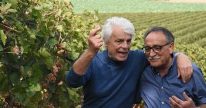 storia-cantina-placido-volpone-0